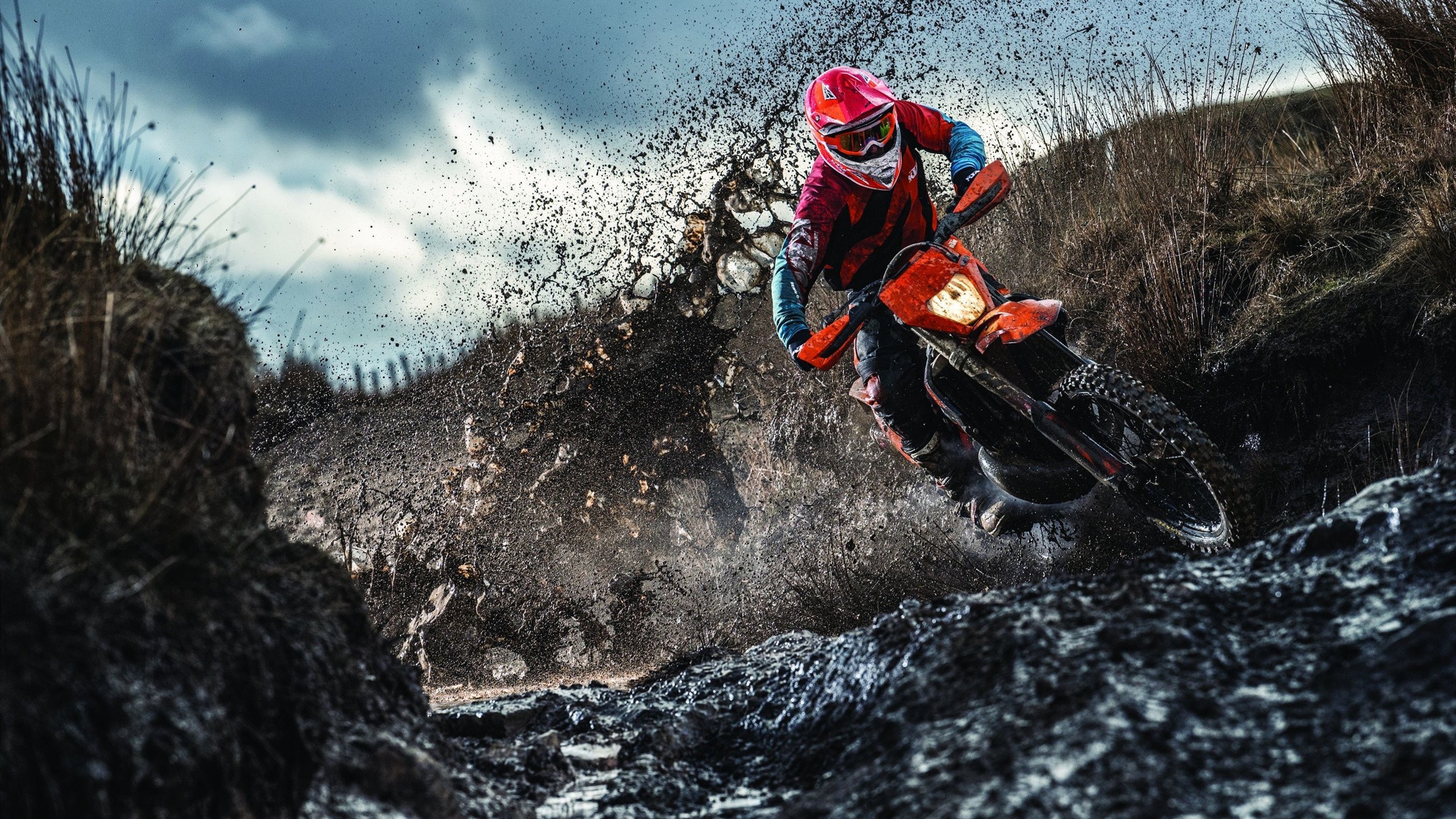 从碾压到惊艳，美韩半导体之争与布鲁诺的破局启示