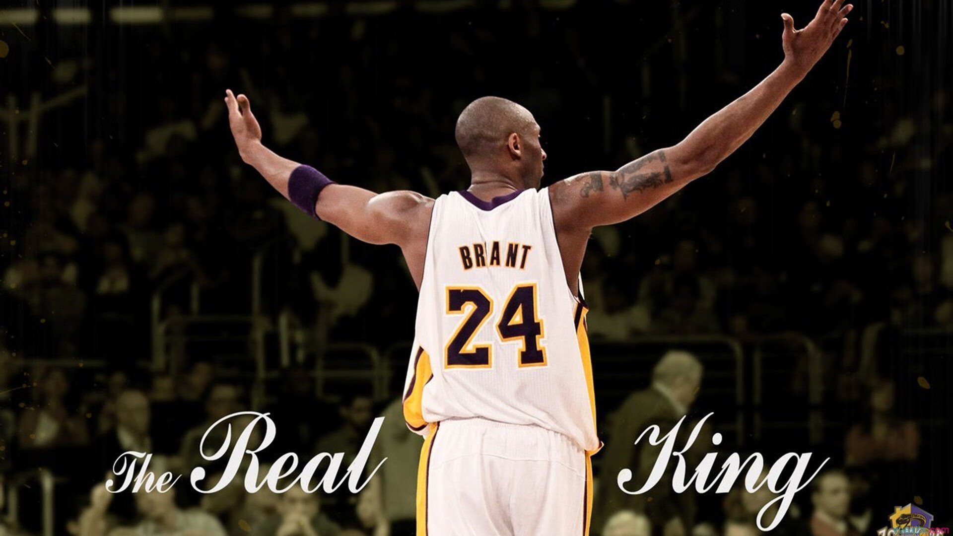 魔术铁壁，一场防守教科书如何锁死尼克斯的季后赛狂飙